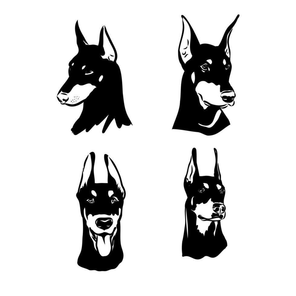 doberman dog vector sketch