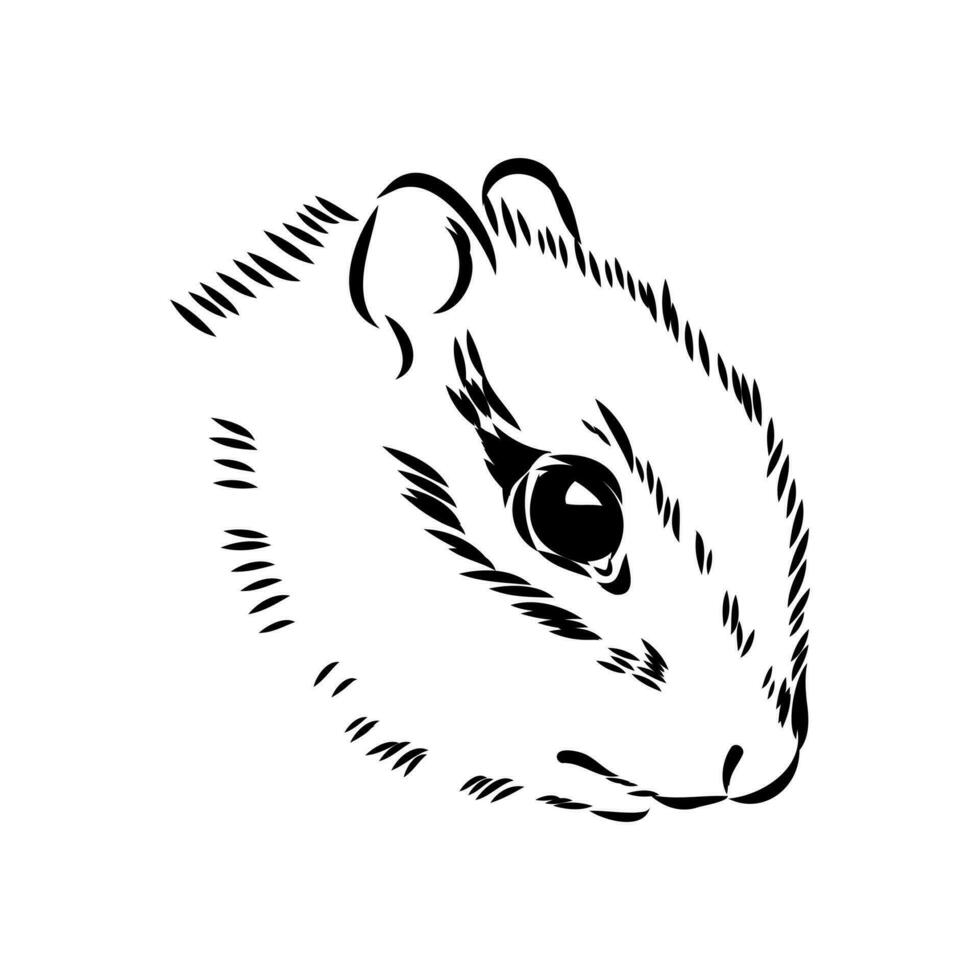 chipmunk vector sketch