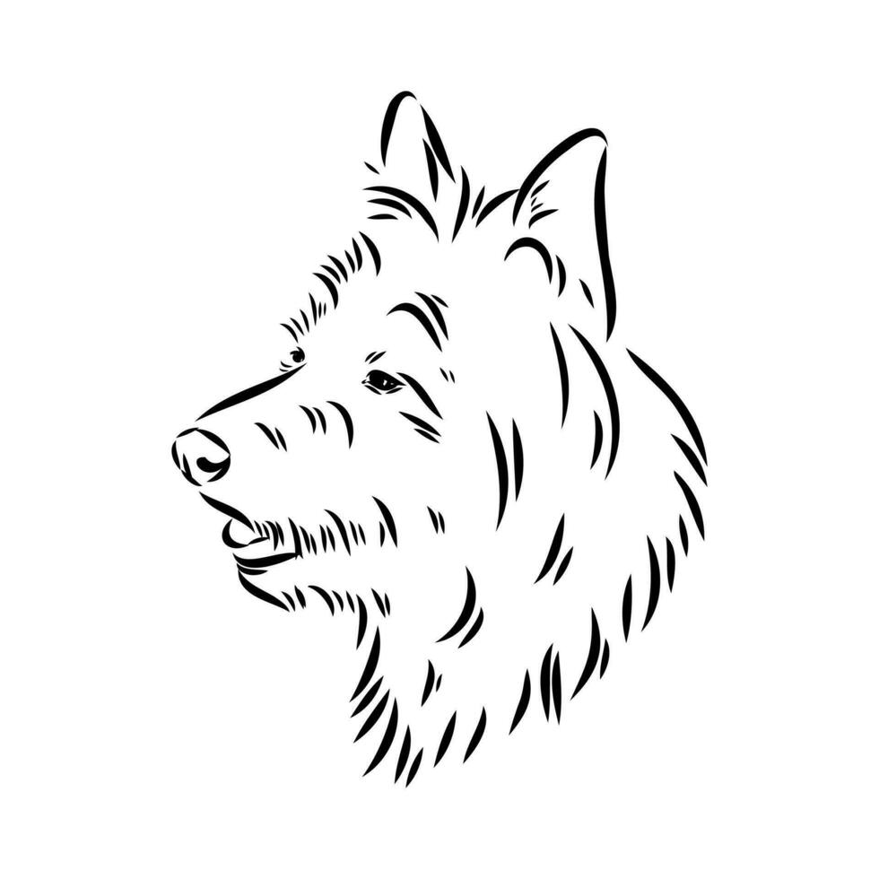 Australian terrier vector sketch