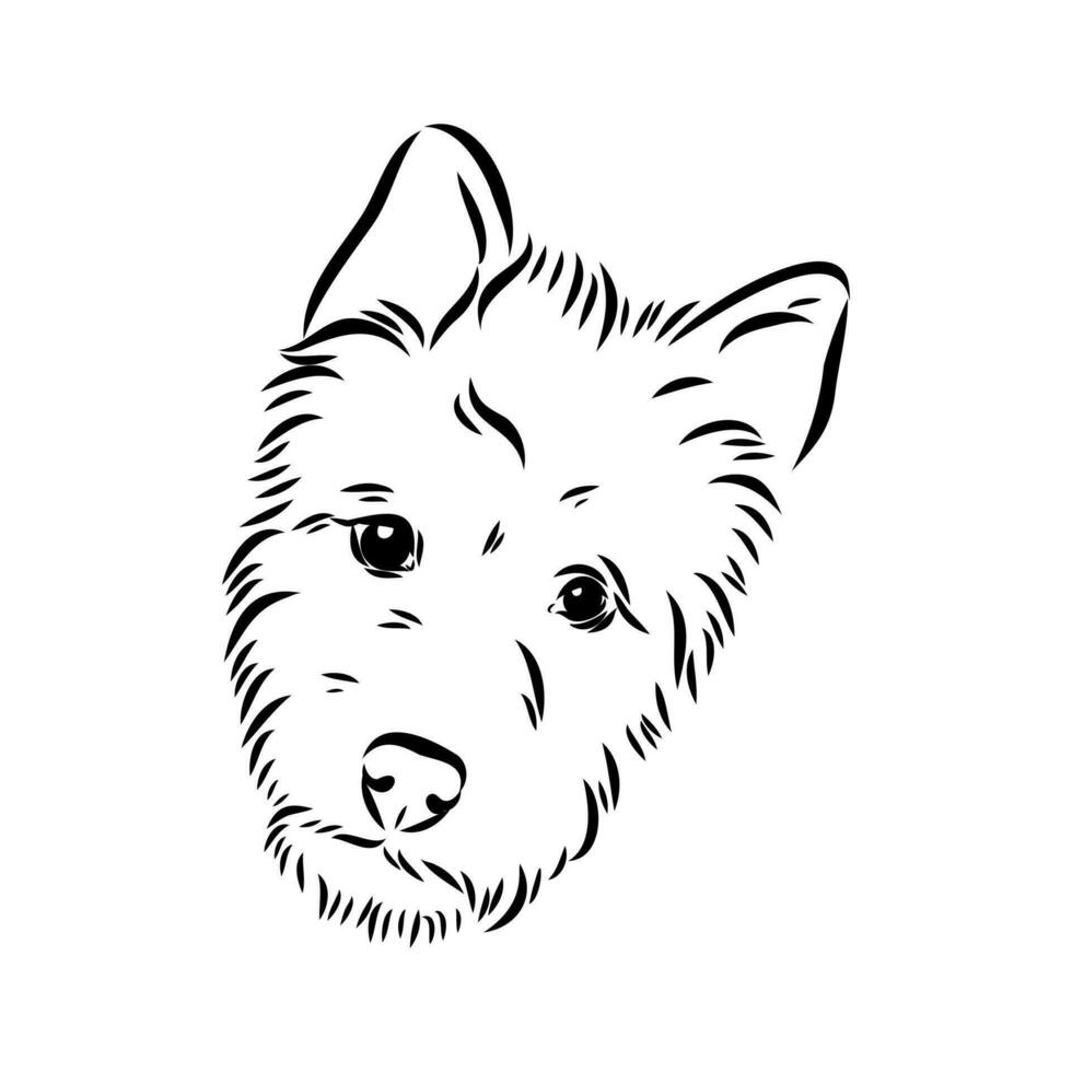 australiano terrier vector bosquejo