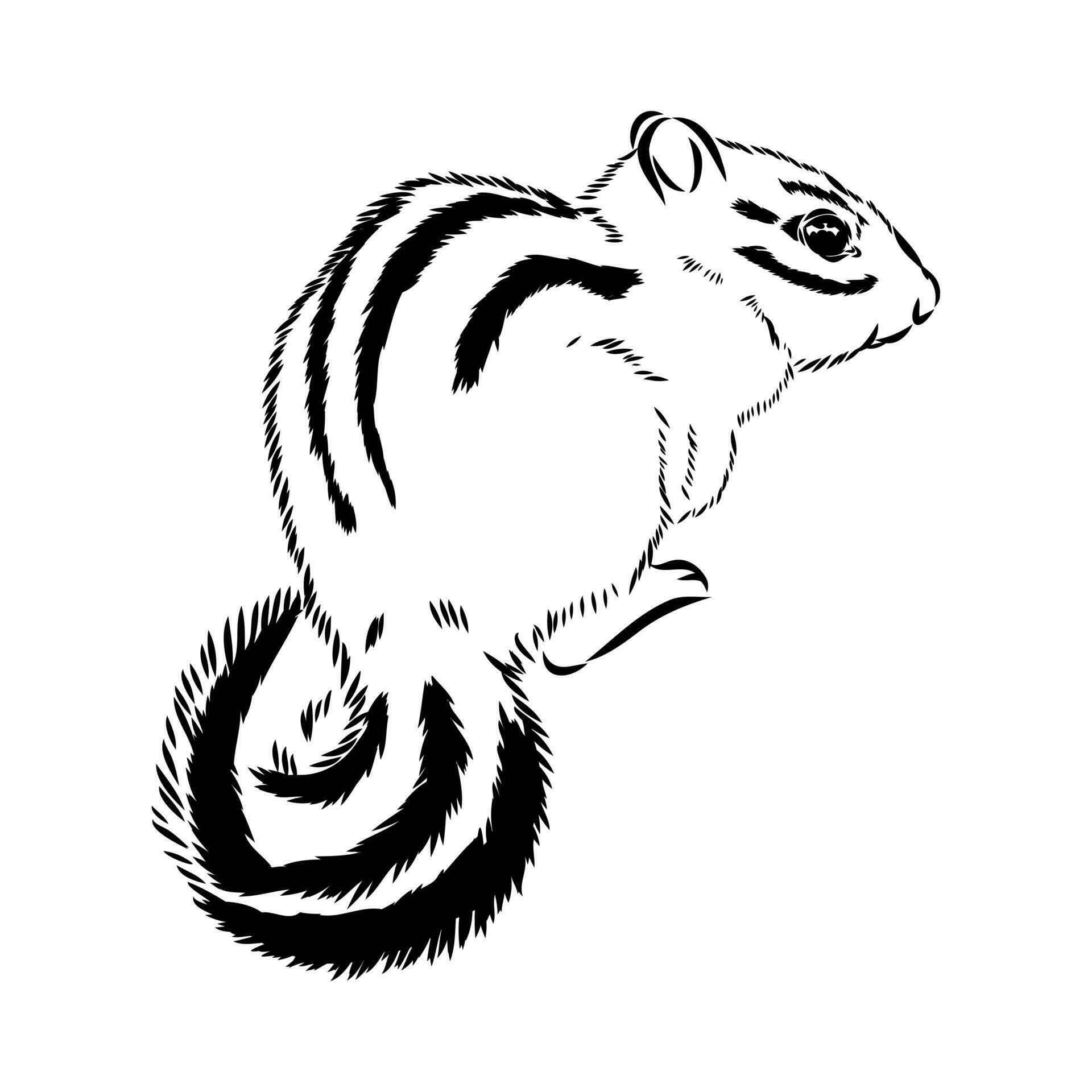 Shadow Chipmunk Vector chipmunk vector sketch 36521607 Vector Art at Vecteezy
