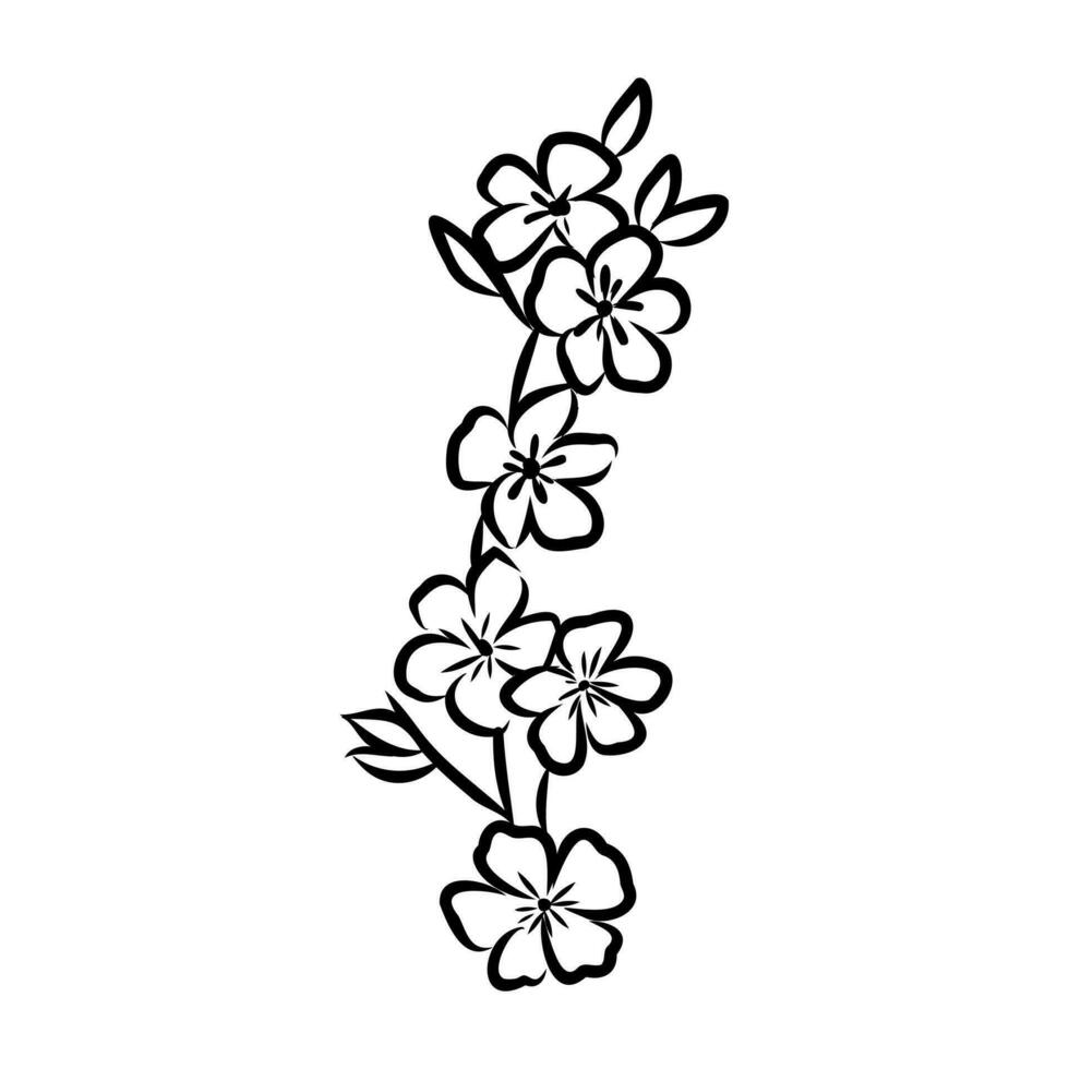 decorative flowers vector sketch