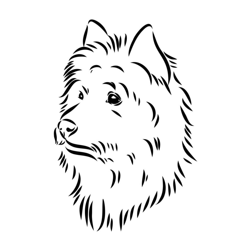 Australian terrier vector sketch