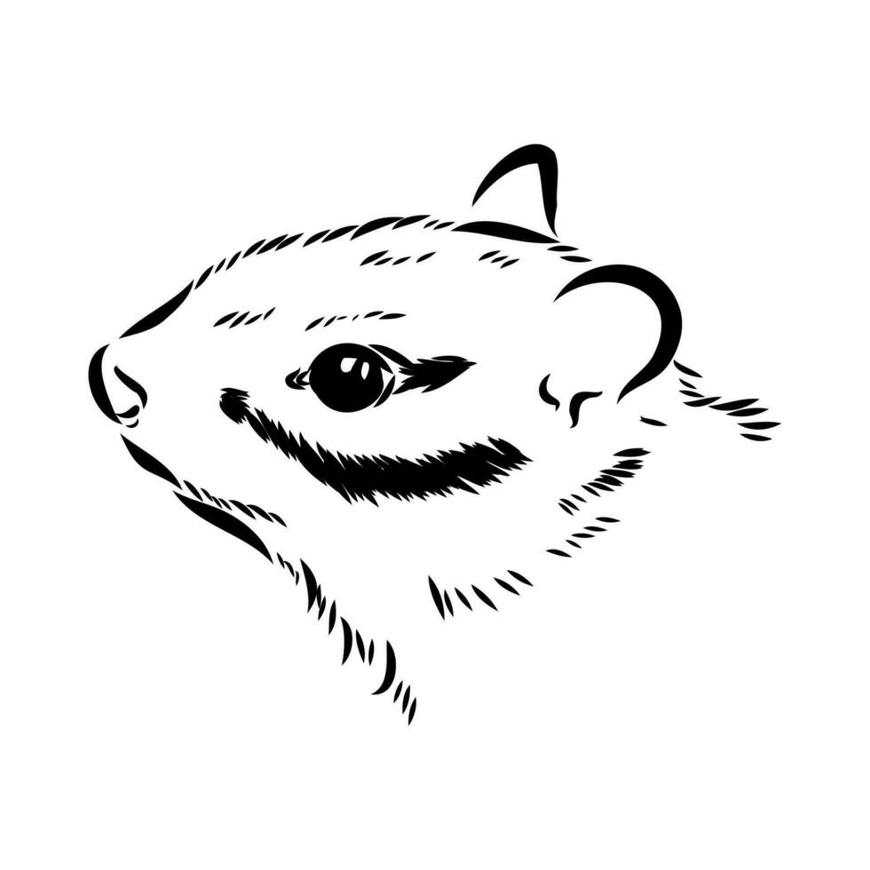 chipmunk vector sketch