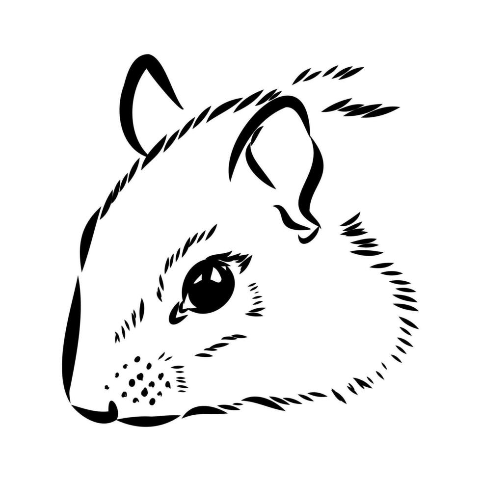 chipmunk vector sketch