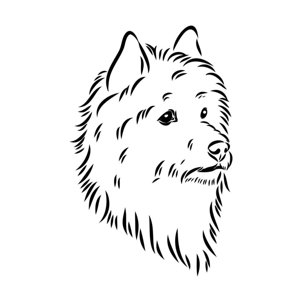 Australian terrier vector sketch