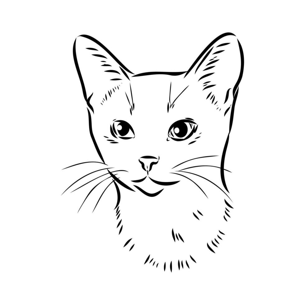 bosquejo del vector del gato