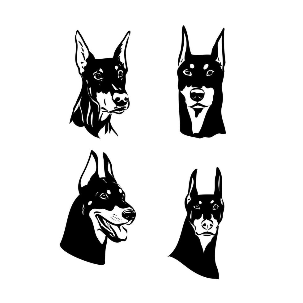 doberman dog vector sketch