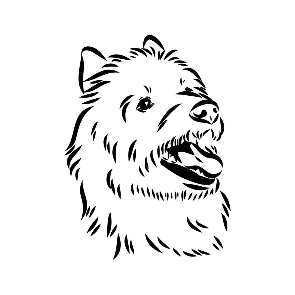 Australian terrier vector sketch