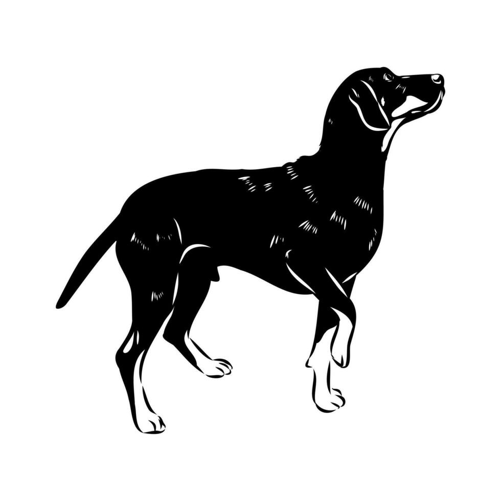 Austrian black and tan hound vector sketch