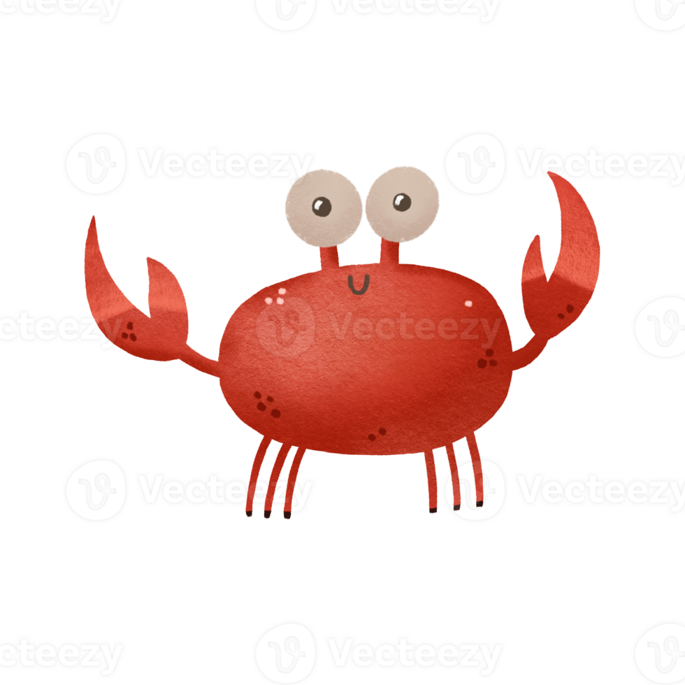 Cartoon hand drawn illustration of red crab. Underwater sea world. Hand drawn illustration on isolated background png