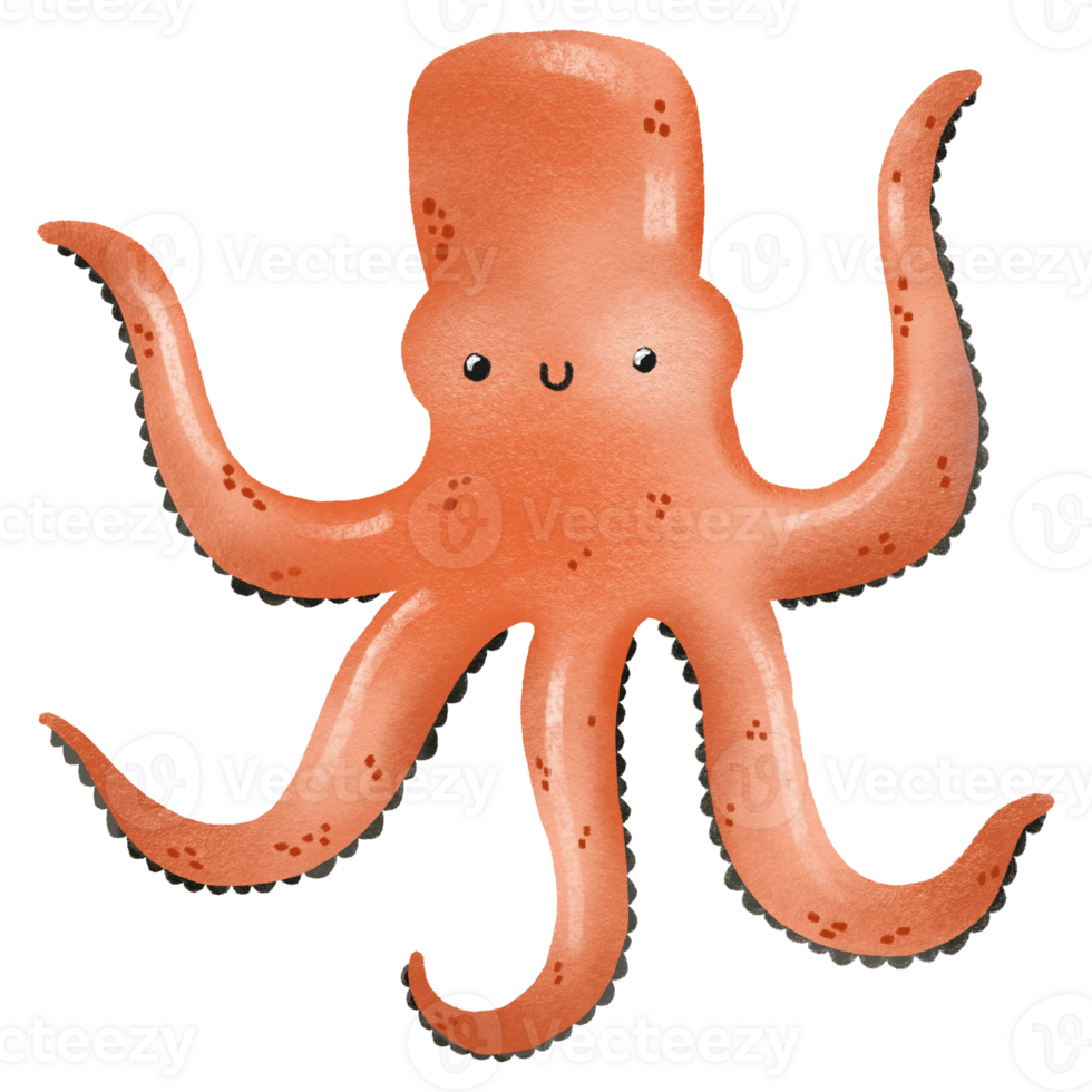 Cartoon hand drawn illustration of sea red octopus. Funny octopus. Underwater sea world. Hand drawn illustration on isolated background. Cute design png