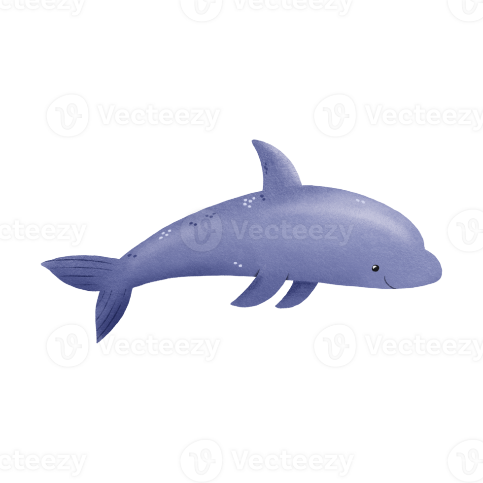 Cartoon hand drawn illustration of sea dolphin. Big dolphin fish. Underwater sea world. Hand drawn illustration on isolated background png