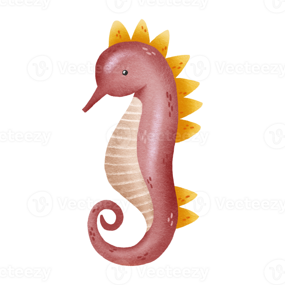 Hand drawn illustration of a pink seahorse. Character from the underwater world. Marine and freshwater fish. Cute baby illustration on isolated background png