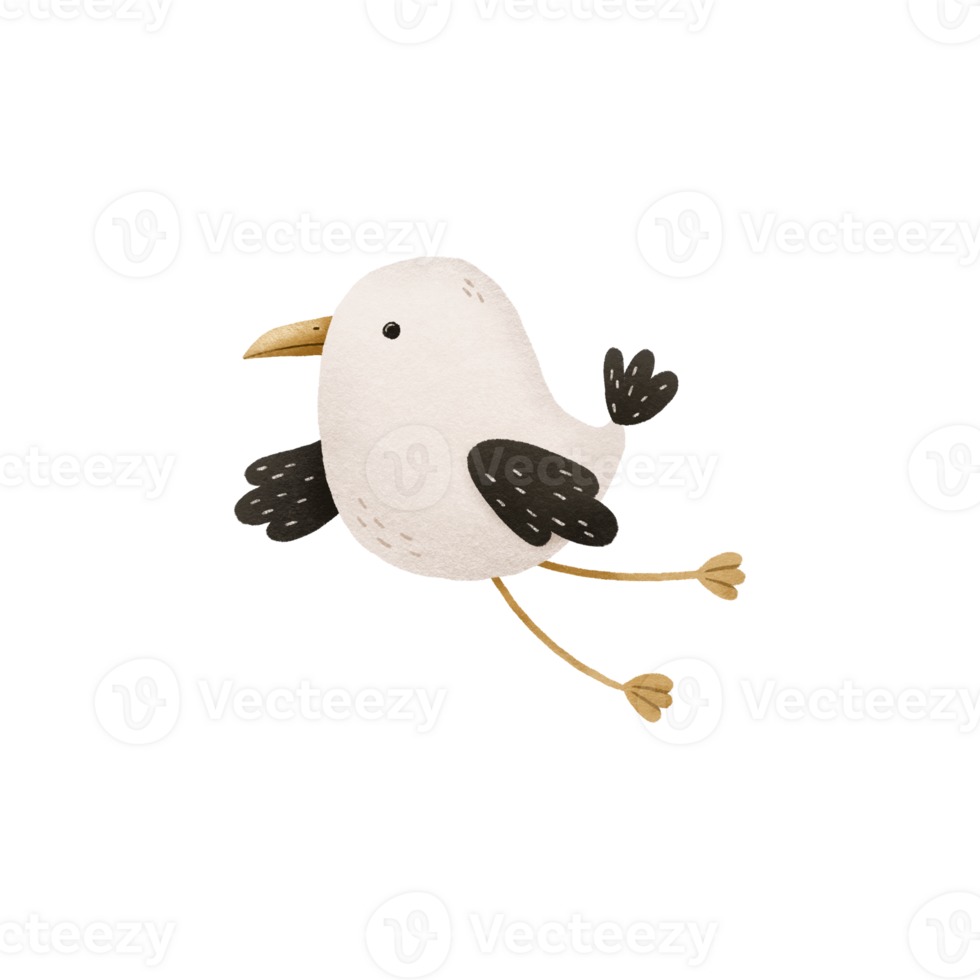 Cartoon hand drawn illustration of a sea gull. Funny seagull. Sea World. Hand drawn illustration on isolated background. Cute design png