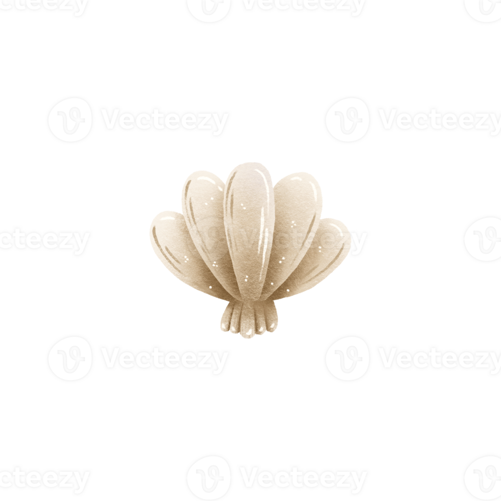 Illustration of a seashell without a pearl. Modern flat illustration of seashell isolated on background. png