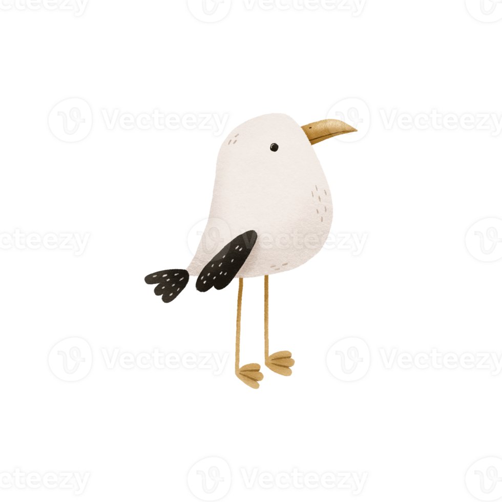 Cartoon hand drawn illustration of a sea gull. Sea World. Hand drawn illustration on isolated background. Cute design png