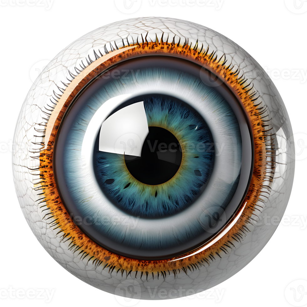 AI generated Eyeball medical illustration, 3d rendering of human body png