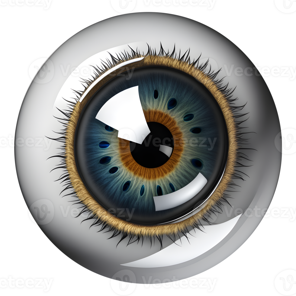 AI generated Eyeball medical illustration, 3d rendering of human body png