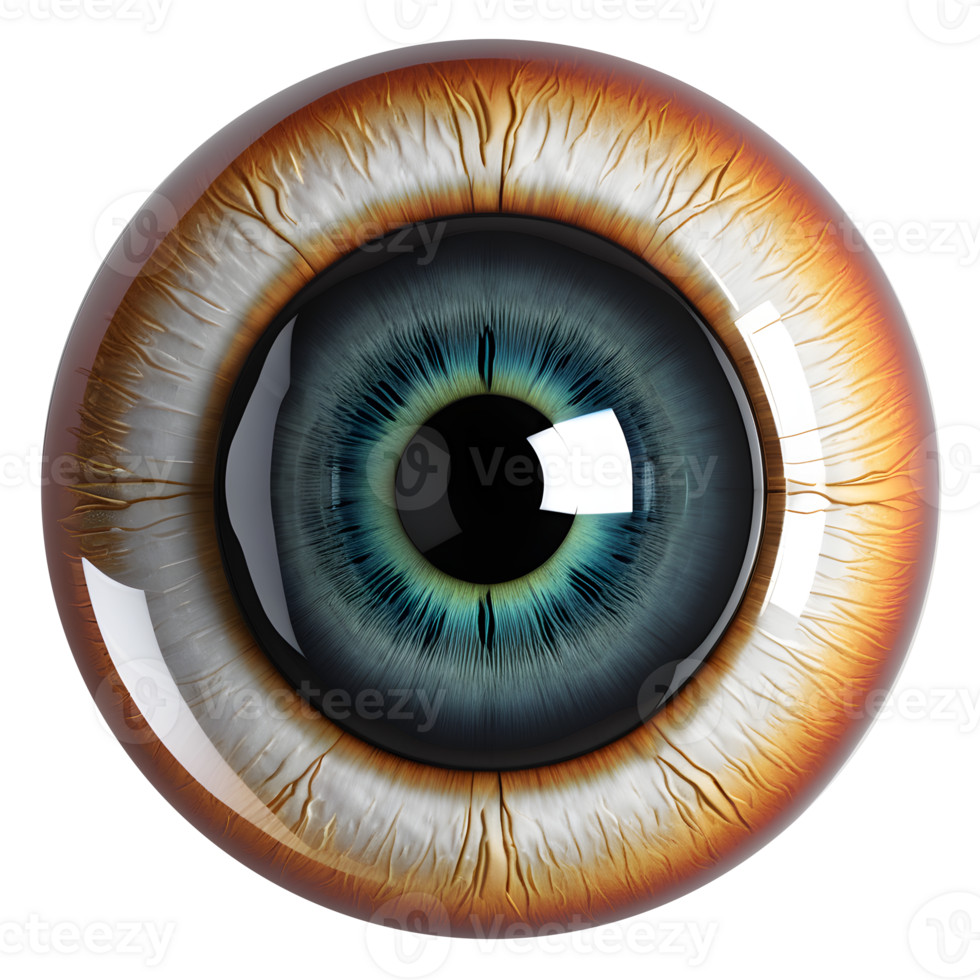 ai genererad eyeball medicinsk illustration, 3d tolkning av mänsklig kropp png