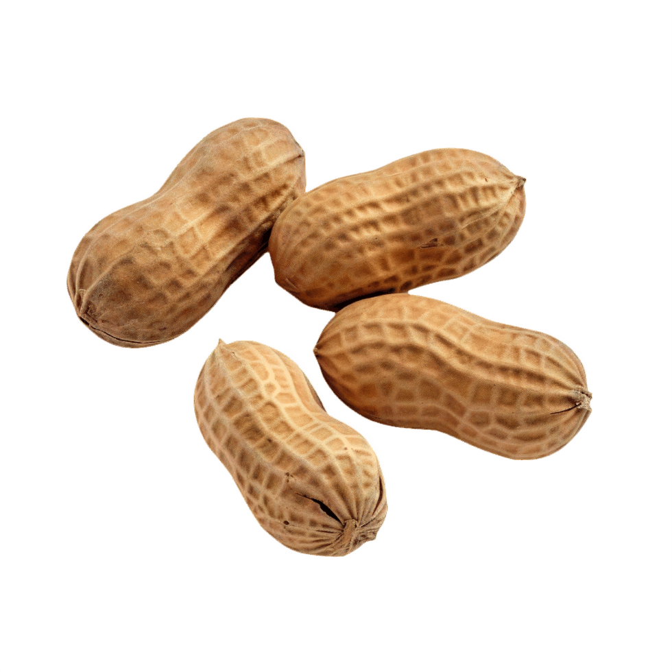AI generated Whole and Shelled Peanuts Isolated on transparent Background png