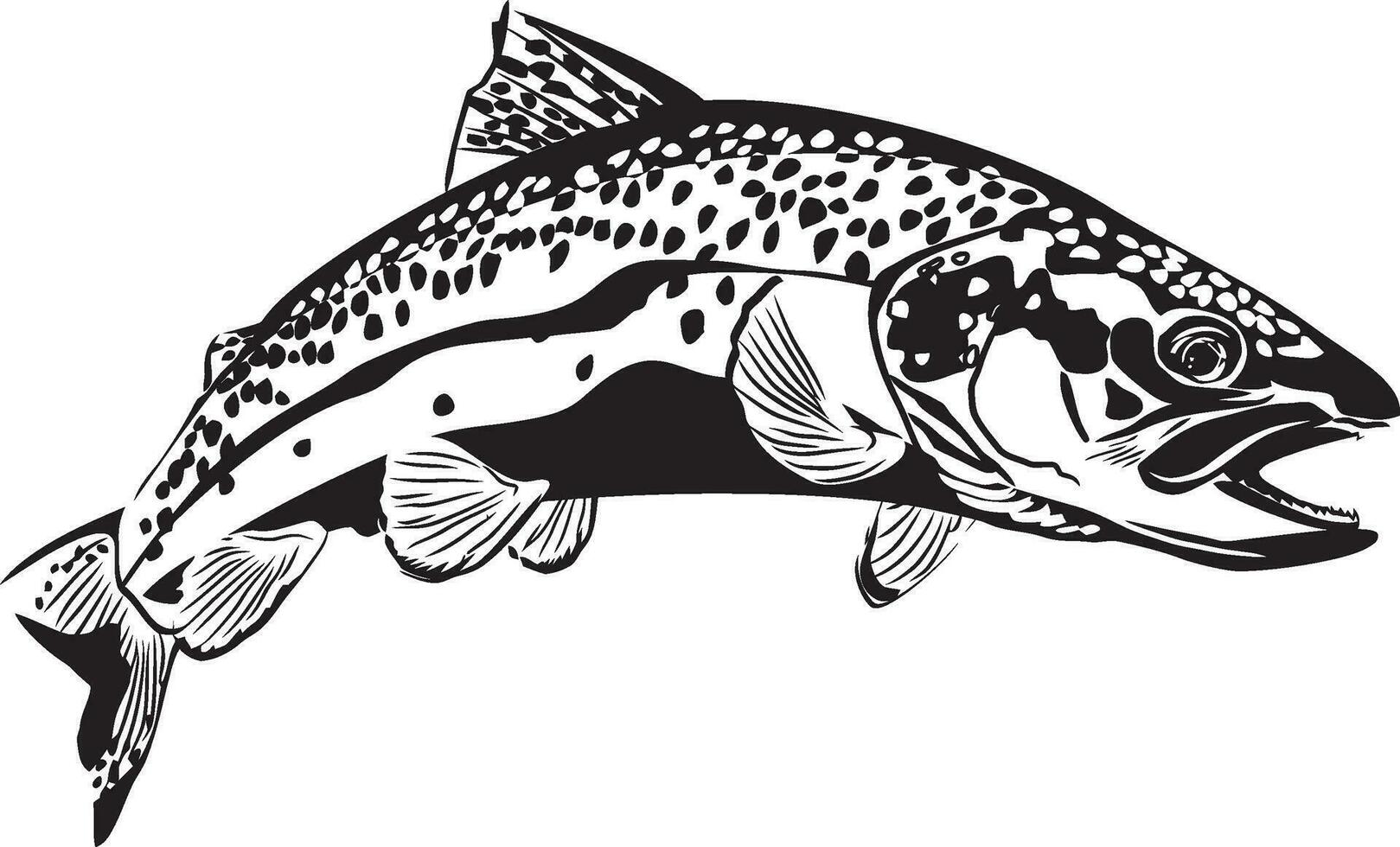 Brown Trout Fish Vector Image Pro Download