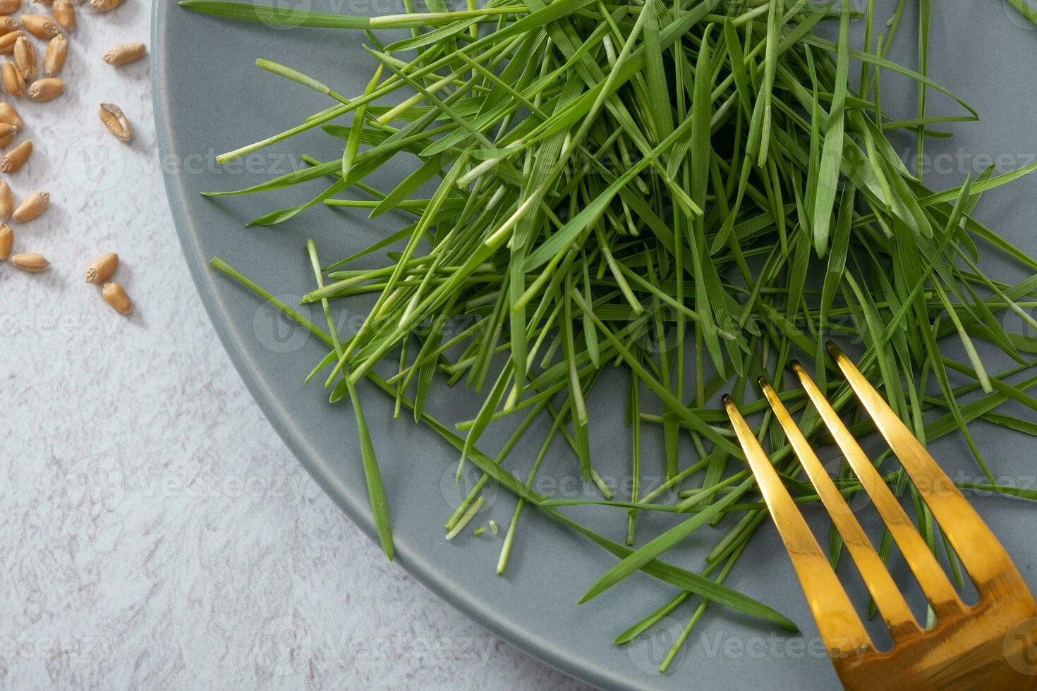 Microgreeen sprouted wheat on plate with folk and seeds close up. Healthy food concept photo