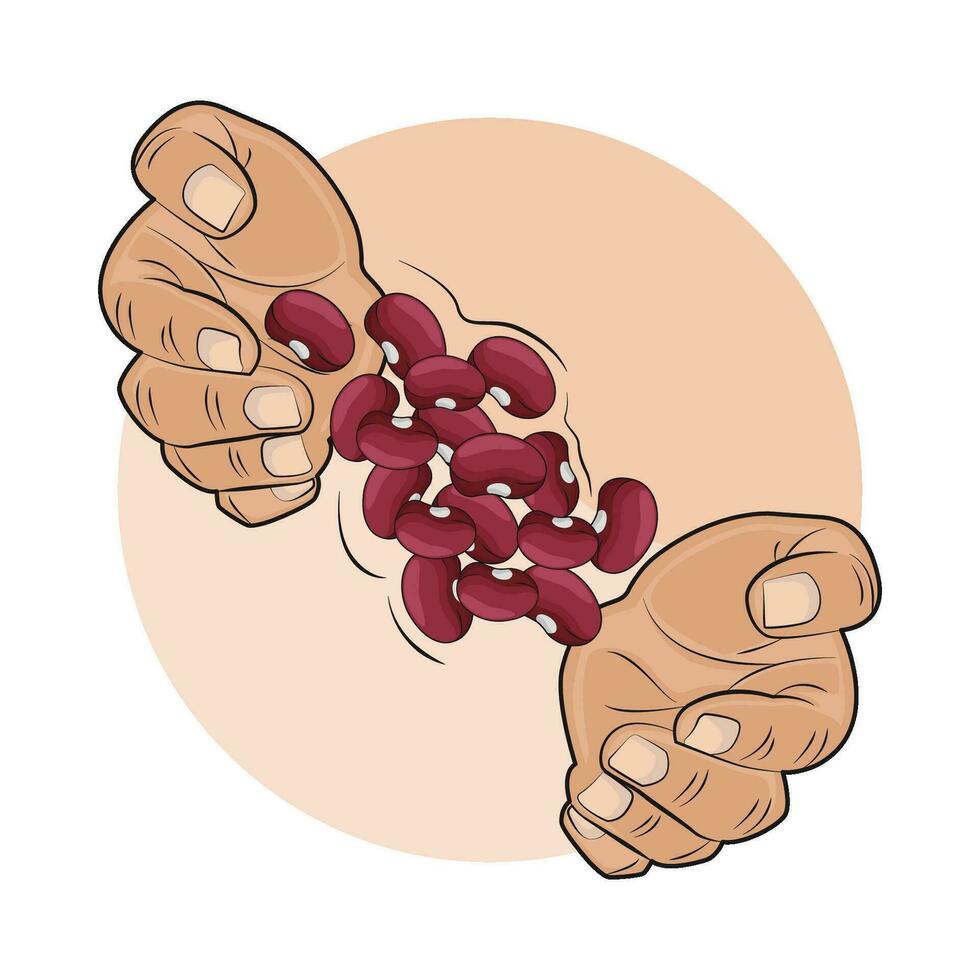 illustration of red bean vector