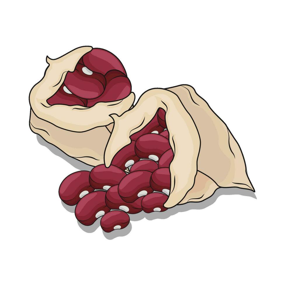 illustration of red beans vector