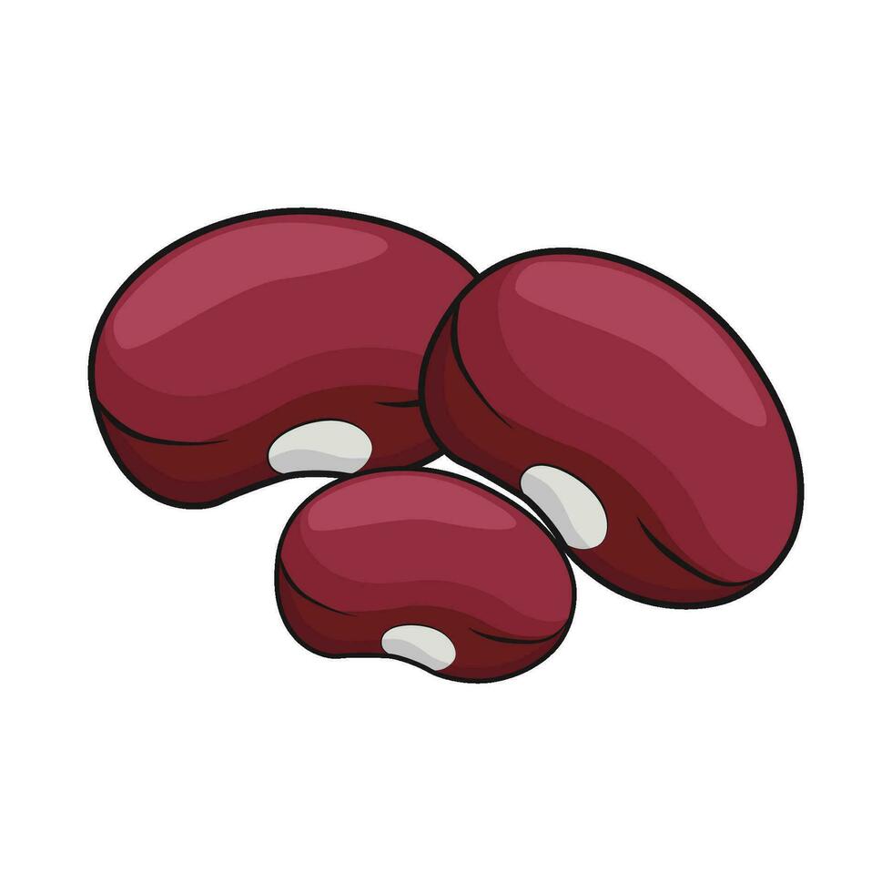 illustration of red bean vector