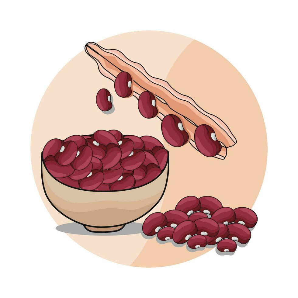 illustration of red bean vector