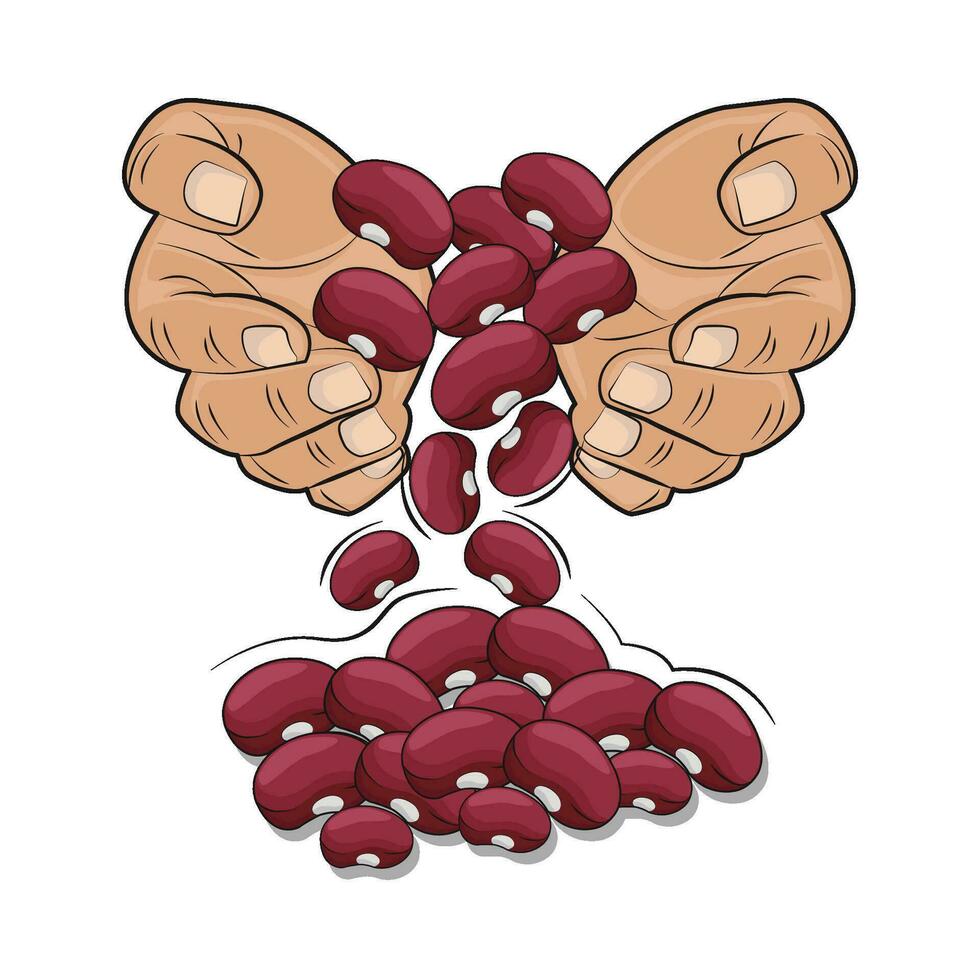 illustration of red beans vector