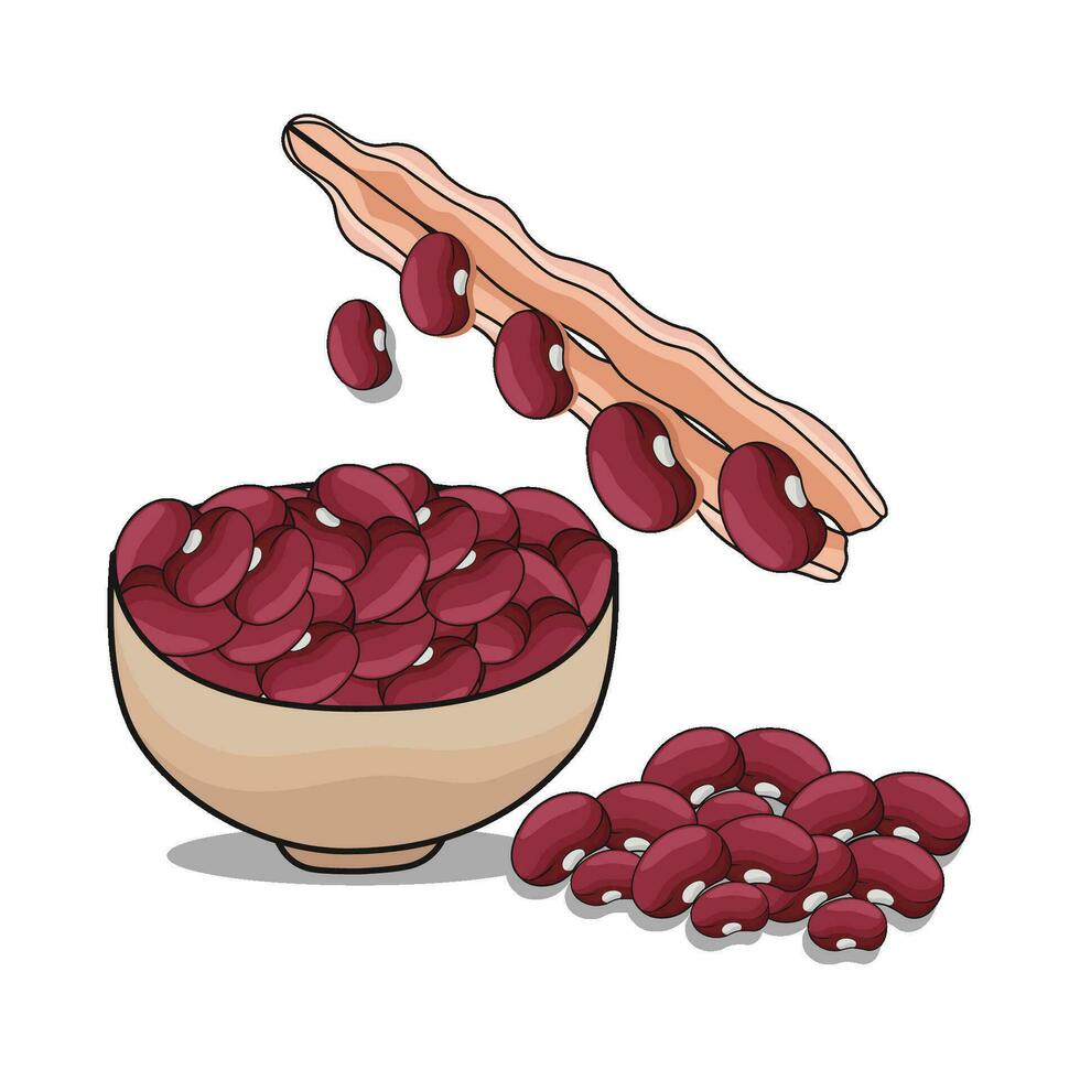 illustration of red bean vector