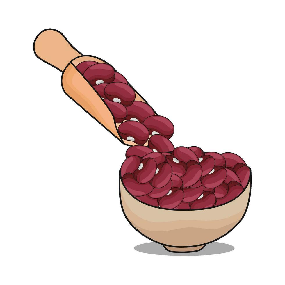 illustration of red bean vector