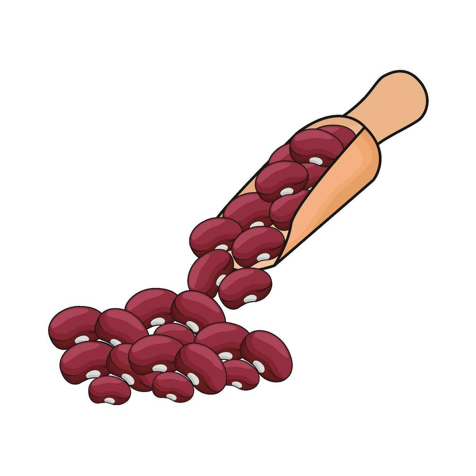 illustration of red beans vector