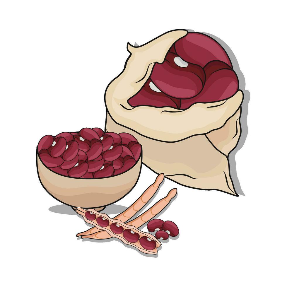 illustration of red bean vector