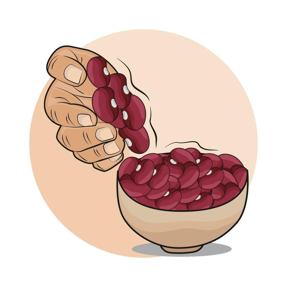 illustration of red bean vector