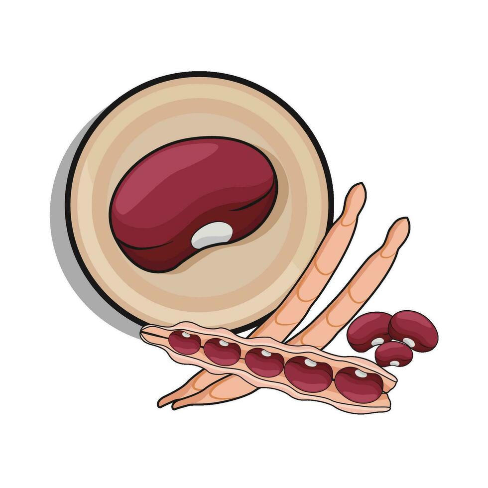 illustration of red bean vector