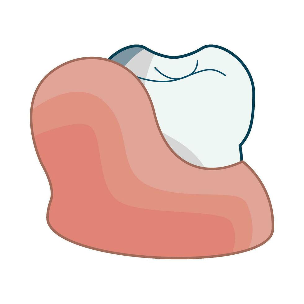 illustration of tooth vector