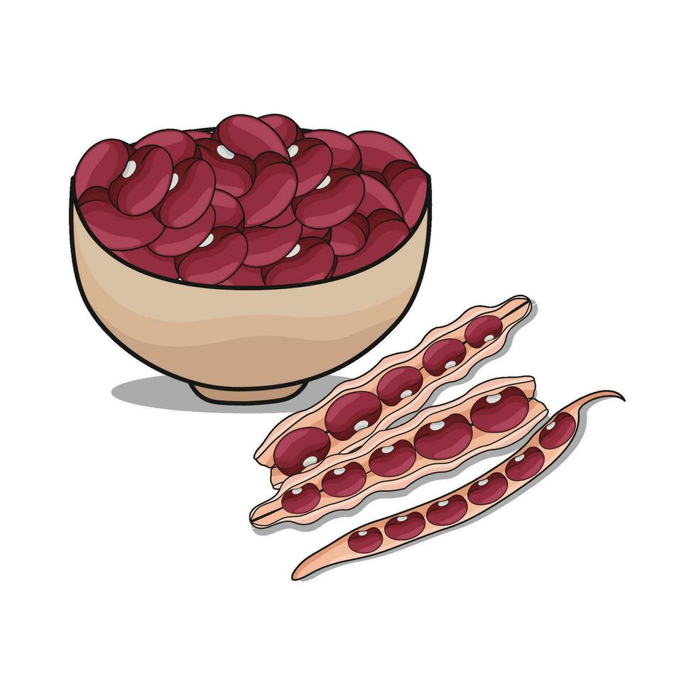 illustration of red bean vector