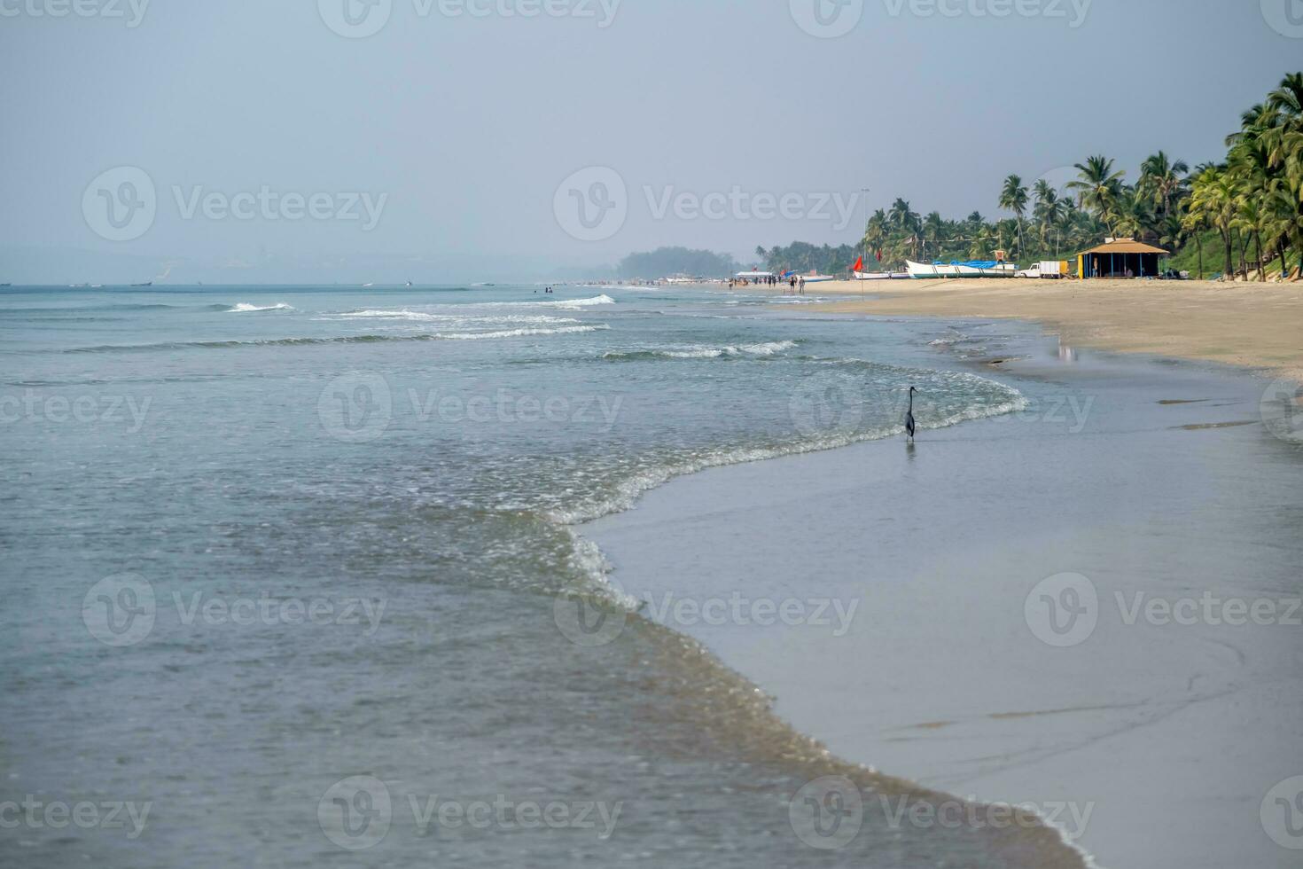 foam of sea or ocean waves against the backdrop with palms photo