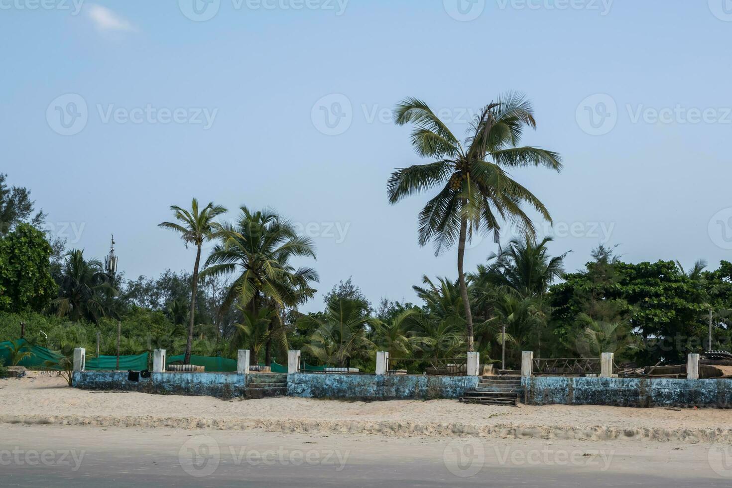 silhouettes of coconut trees palms against the blue sky of India photo