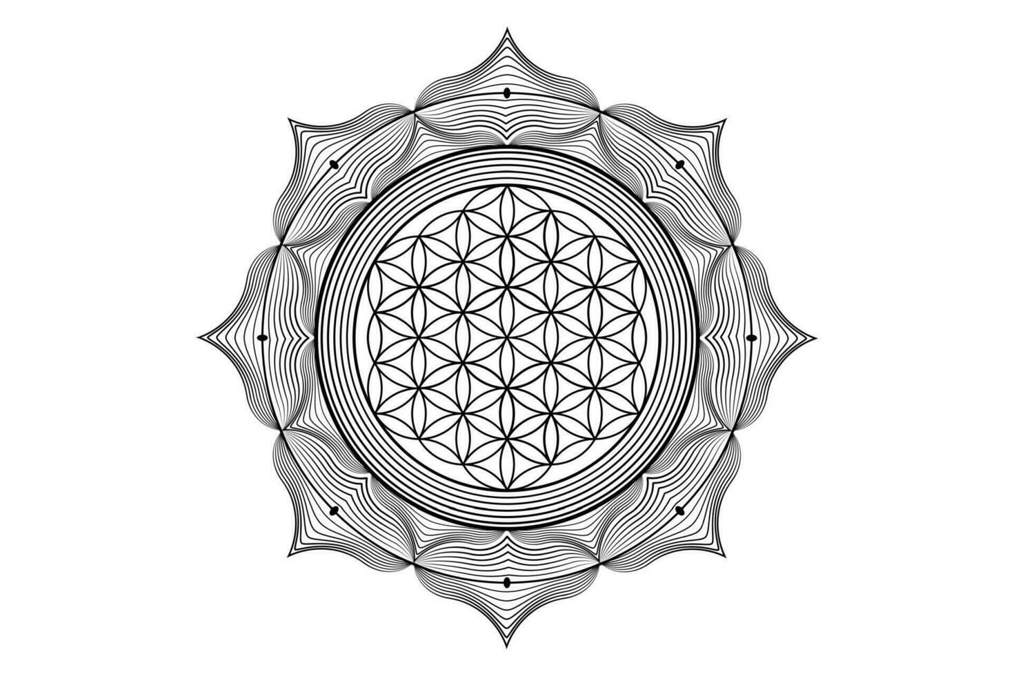 Sacred lotus yantra mandala, Mystical Flower of Life. Sacred geometry, vector logo graphic element isolated. Mystic icon seed of life, geometric drawing sign, esoteric lotus flower on white background