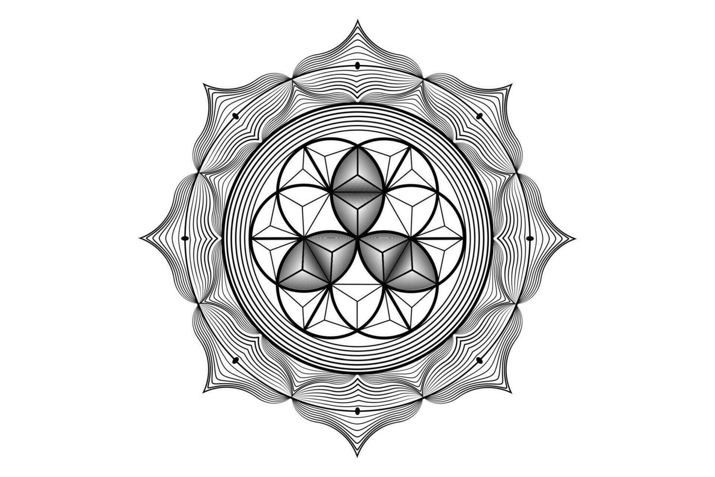 Sacred lotus yantra mandala, Mystical Flower of Life. Sacred geometry, vector logo graphic element isolated. Mystic icon seed of life, 3D geometric drawing, esoteric lotus flower on white background