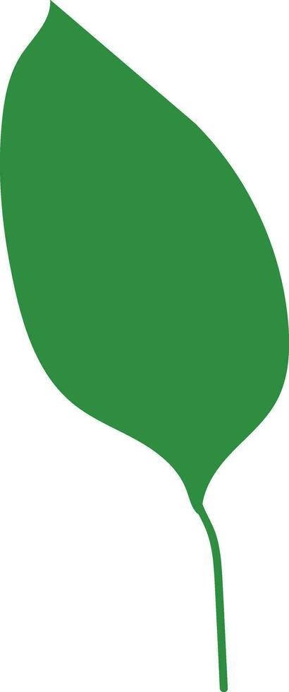 Montsera leaf logo icon vector element