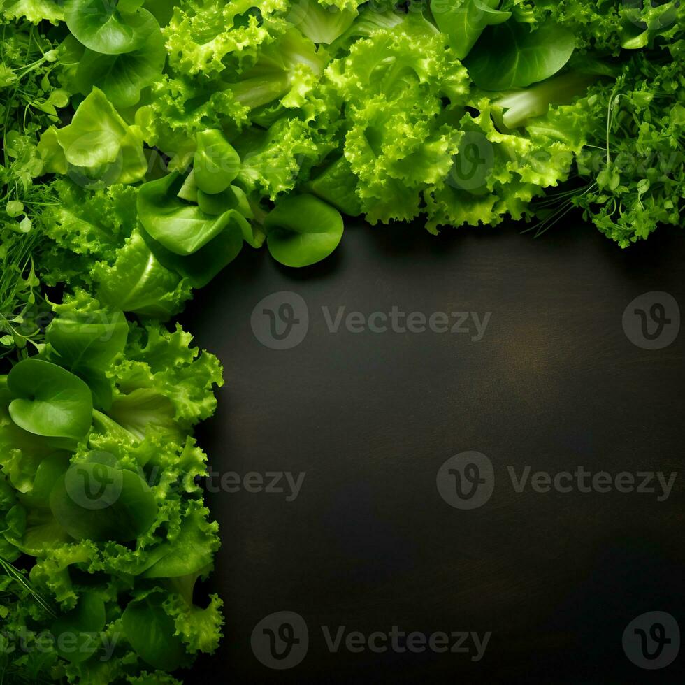 AI generated Lettuce, arugula salad on black backgrounds photo