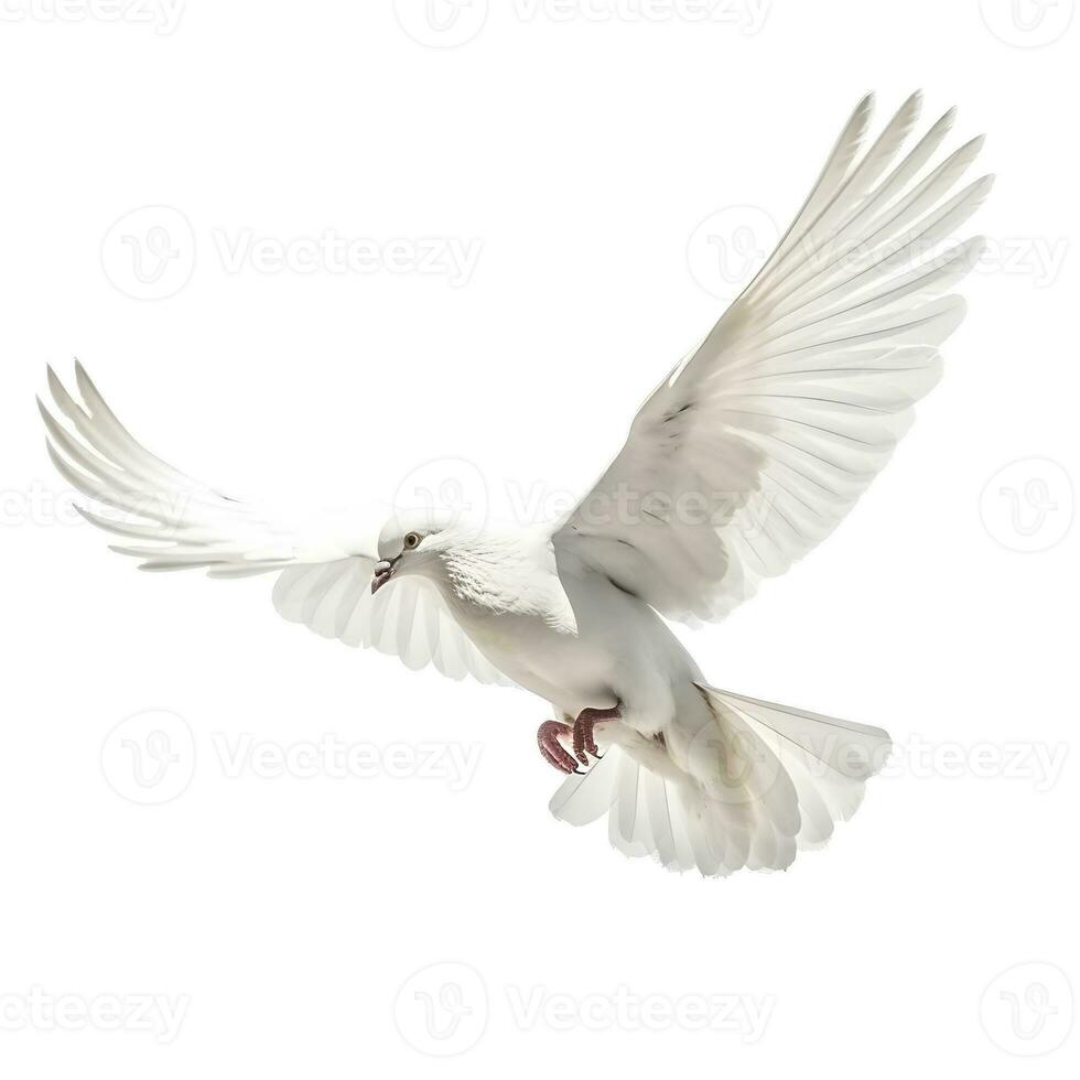 AI generated White pigeon in flight photo