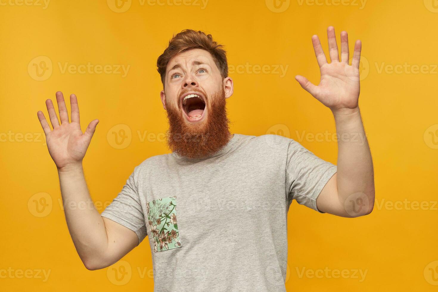 Indoor shot of young bearded redhead male, wears grey t-shirt, raised his hands and screaming with horrified facial expression, looks upwards. Isolated over yellow background. photo