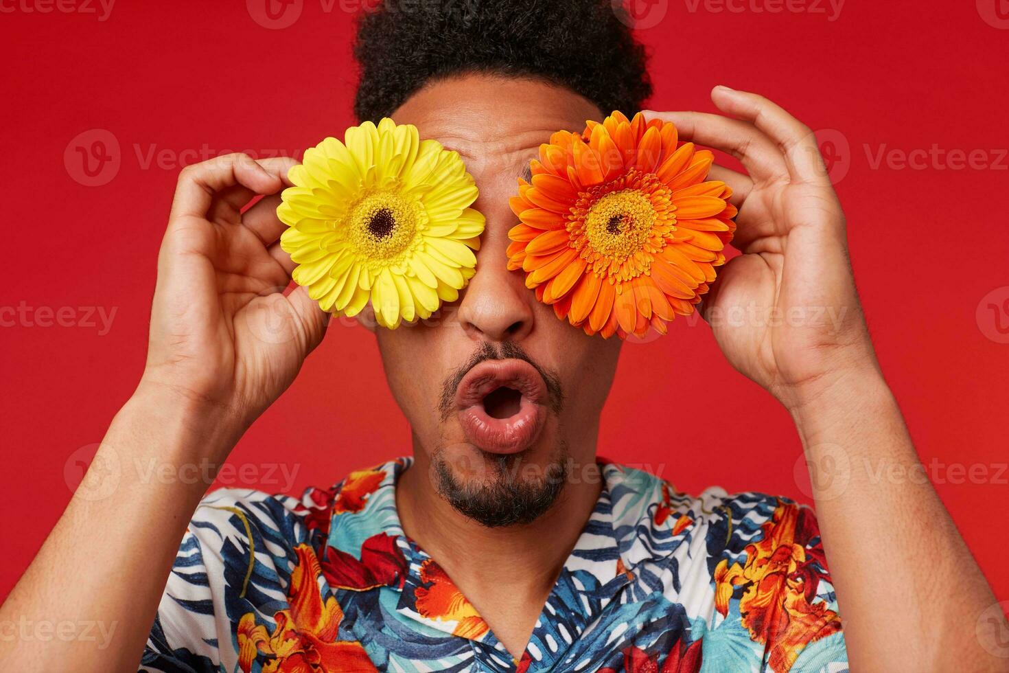Close up surprised young African American guy, wears in Hawaiian shirt, looks at the camera trough flowers with happy expression, stands over red background. photo