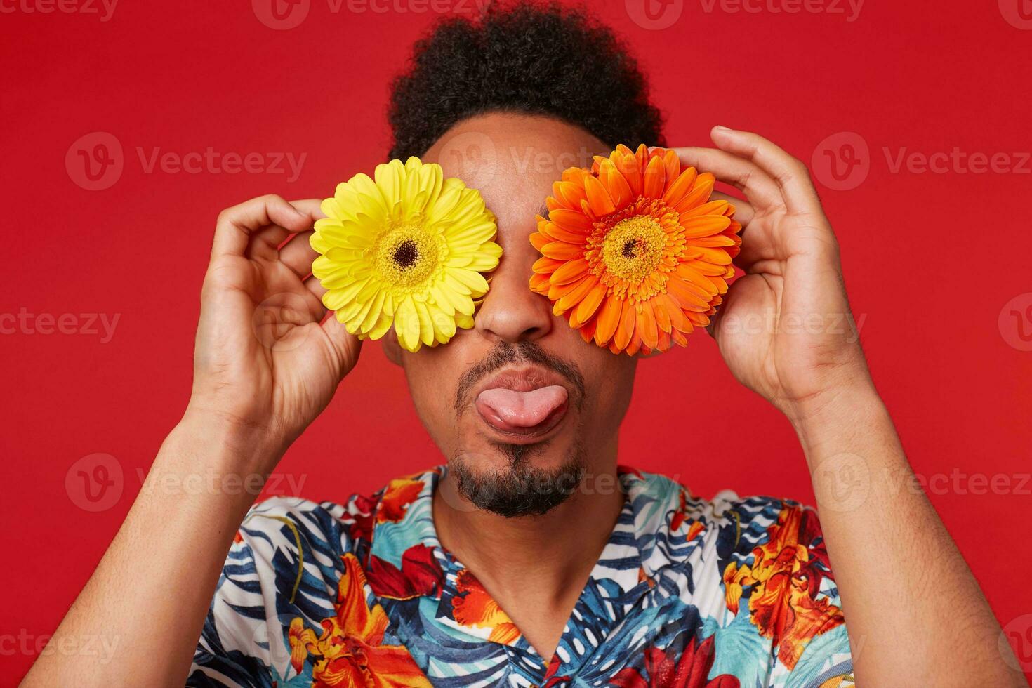 Close up young African American guy, wears in Hawaiian shirt, looks at the camera trough flowers with happy expression, shows tongue, stands over red background. photo